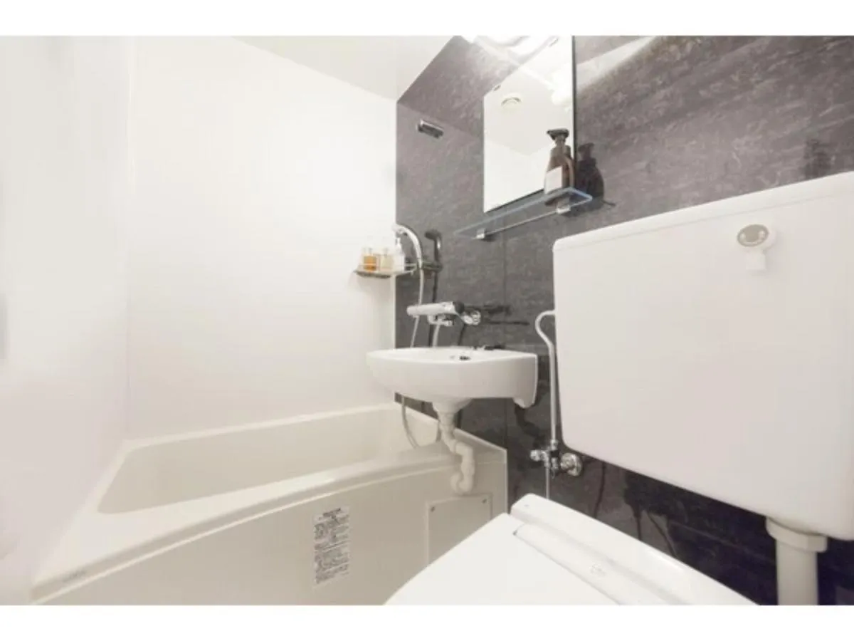Center Hotel Tokyo - Vacation Stay 89175 Japan